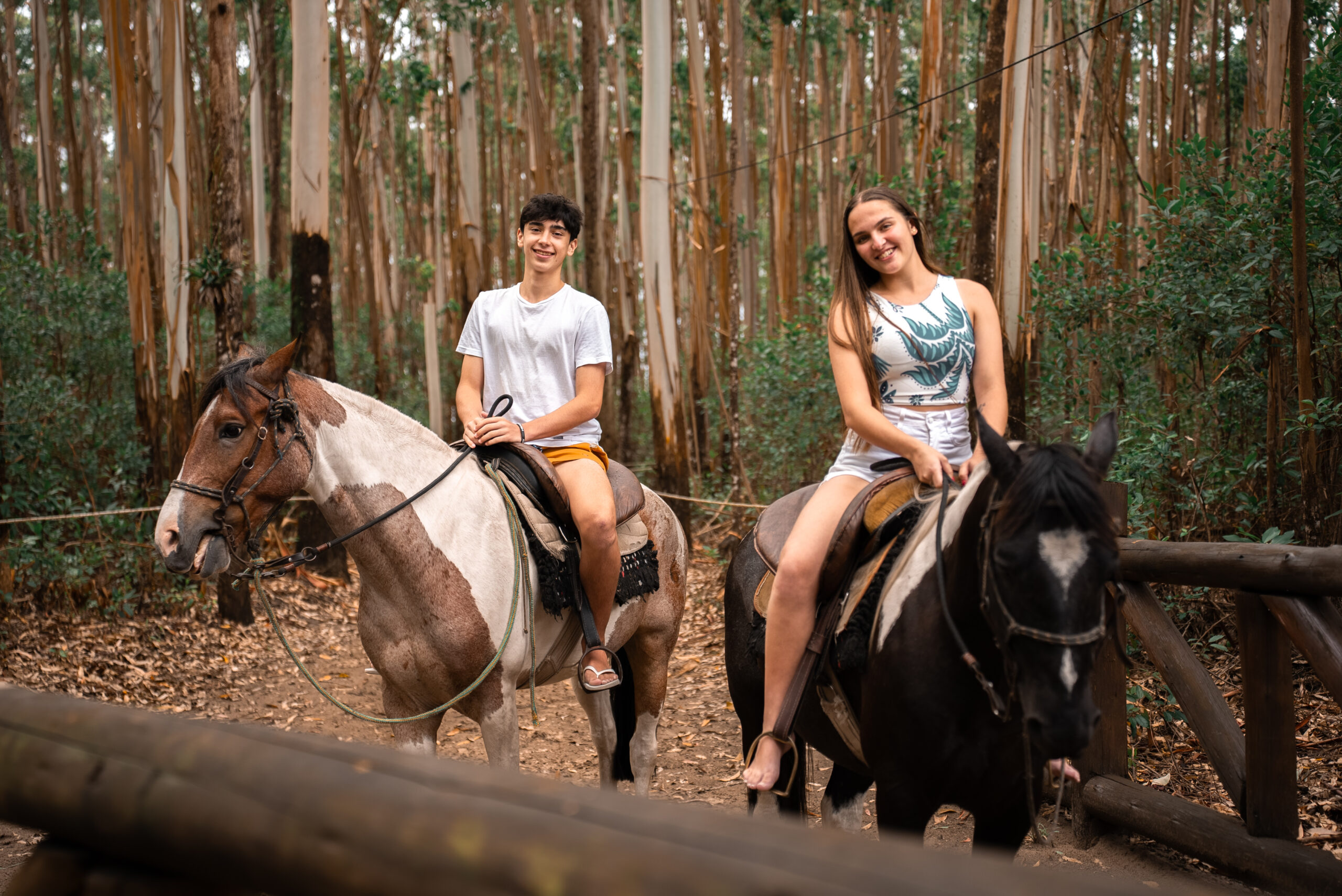 Criança com animal
